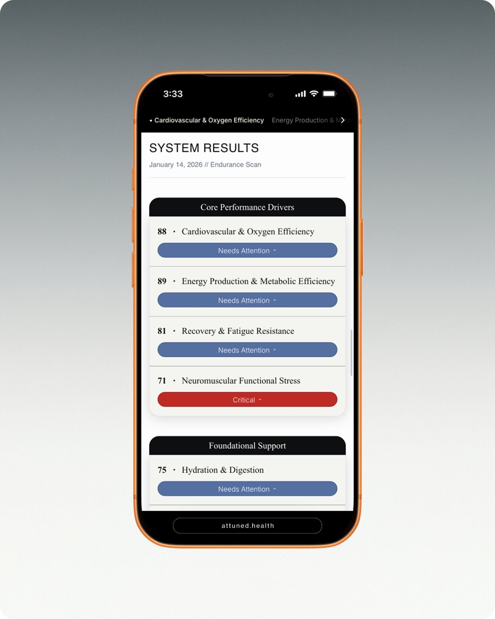 The Endurance Scan - Attuned
