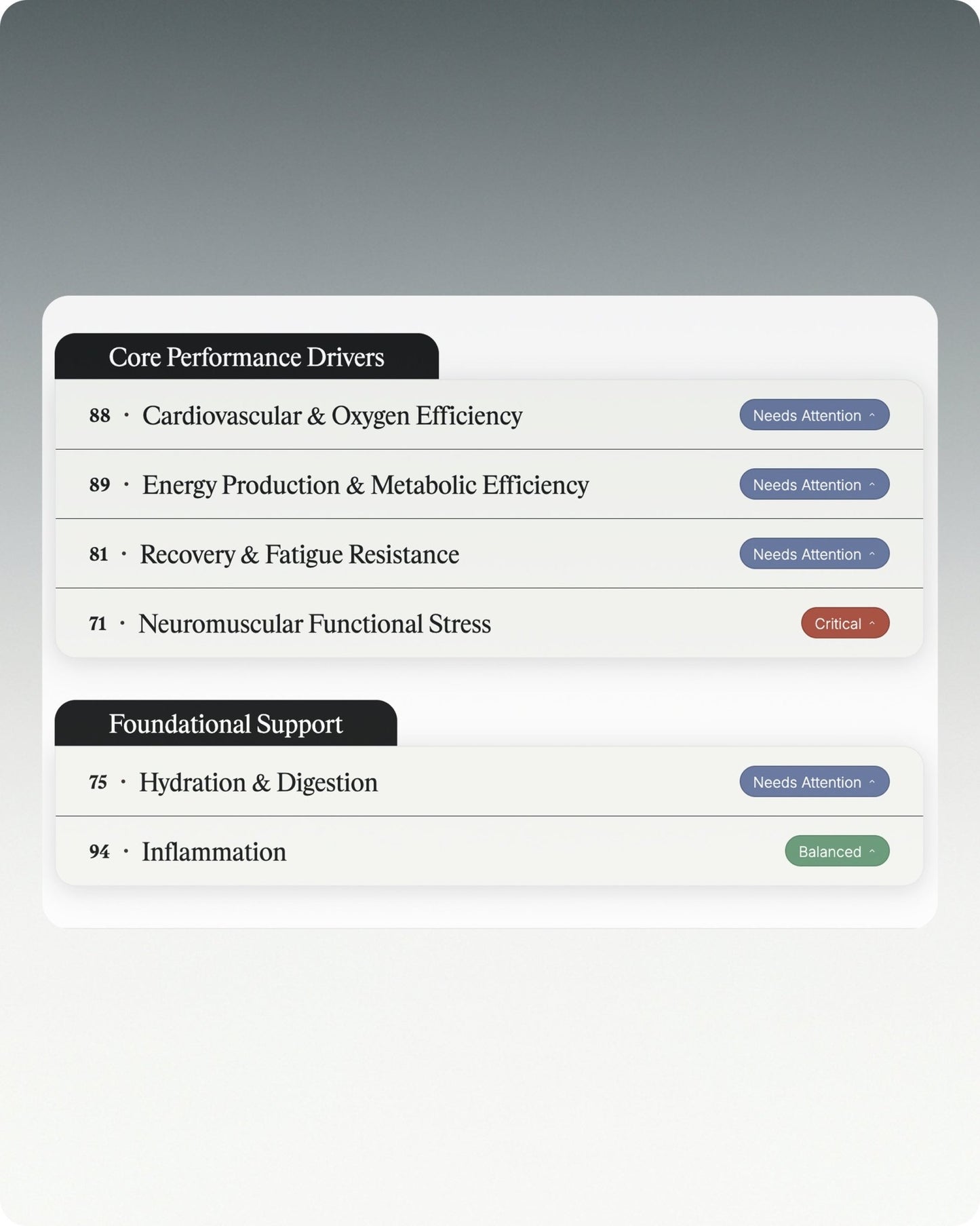 The Endurance Scan - Attuned